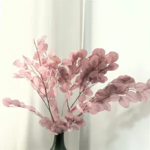 17346004228112.jpg