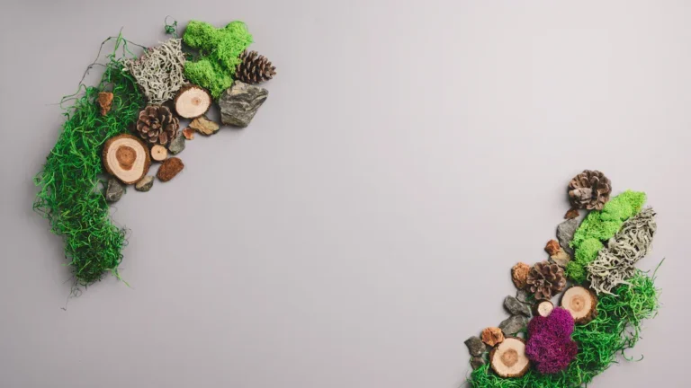 How to Use Reindeer Moss for DIY Craft Projects